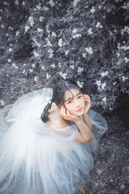 澳门新蔺京开元视频1至32集